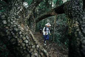 BIB: 
                            <button type="button" onclick="openModal(25392034)" class="btn btn-primary btn-sm float-right btn-popup" data-toggle="modal" data-target=".modal-high-quality">
                        <i class="fas fa-shopping-cart"></i> Add to Cart
                    </button>
                                            <button type="button" onclick="isThisMe(25392034, true)" class="btn btn-success btn-sm float-right btn-popup btn-isme hidden" data-toggle="tooltip" data-placement="bottom" title="นี่คือรูปของคุณใช่ไหม คลิกที่นี่เพื่อเอาเข้าอัลบั้ม">
                        <i class="fas fa-plus"></i> Add to album
                    </button>
                    <button type="button" onclick="isThisMe(25392034, false)" class="btn btn-warning btn-sm float-right btn-popup btn-isnotme hidden">
                        <i class="fas fa-ban"></i> Remove from album
                    </button>